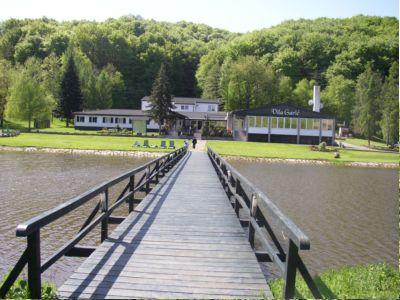 Vila Garic, Podgarić