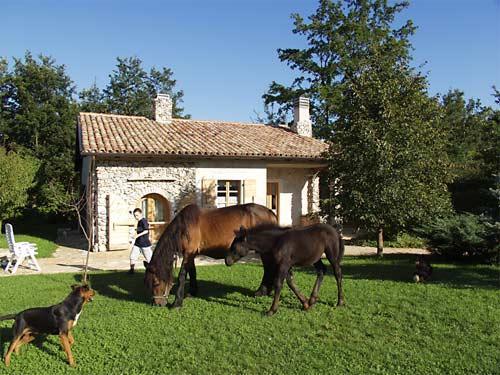 Agritourism Fences