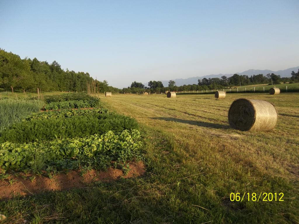 Kuća za odmor u Lici
