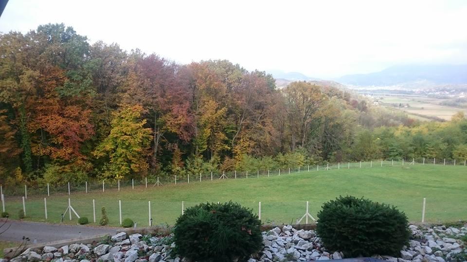 Villa Pačetina - House for vacation in nature