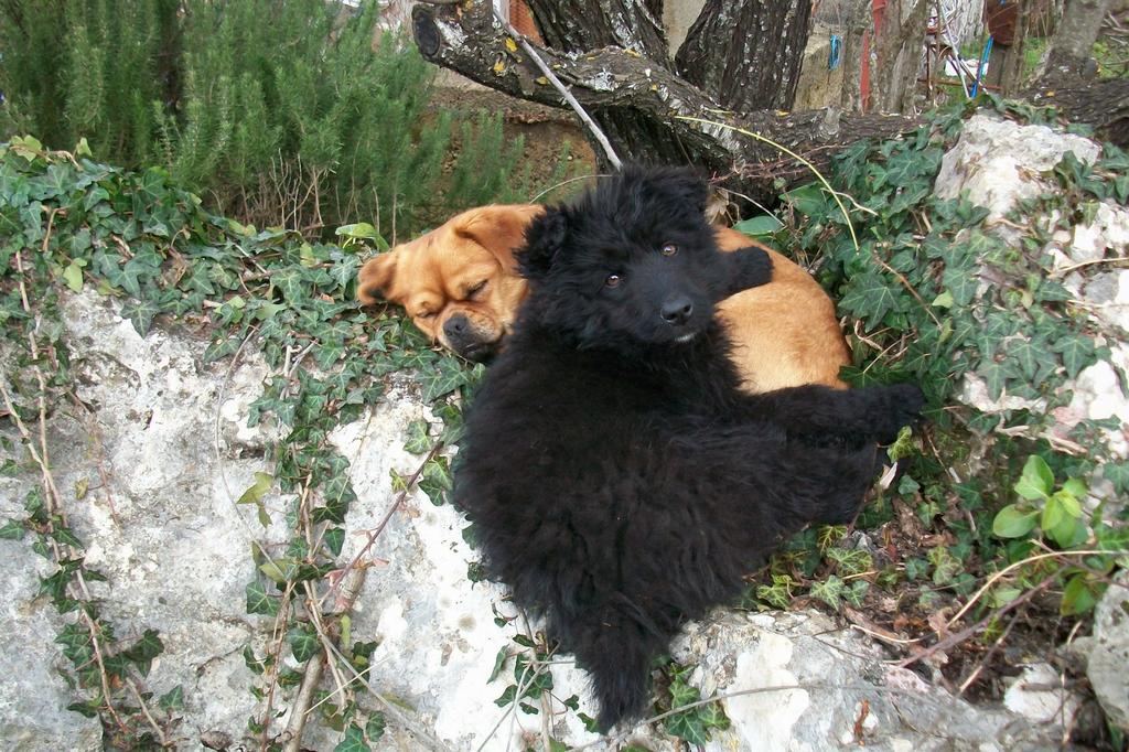 Agritourism Matuško