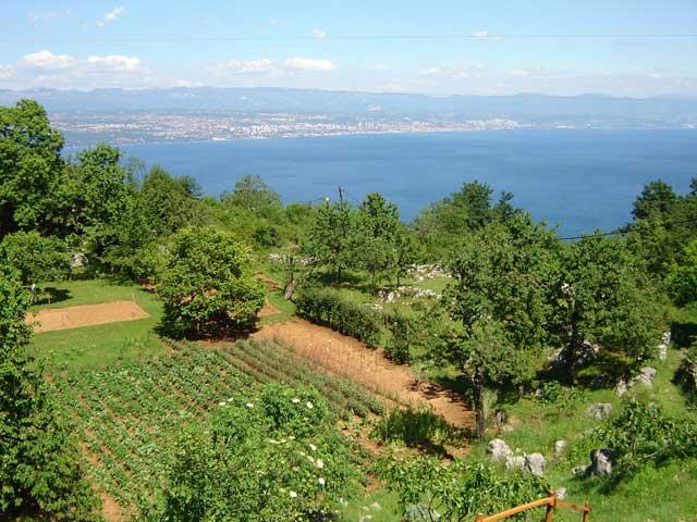 Rural tourism Ivulići