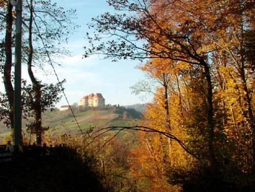 Grešna Gorica