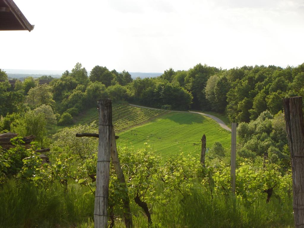 Holiday house in the heart of Moslavina