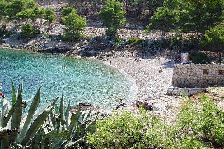 Appartamenti Vis