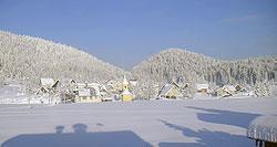 Apartman David
