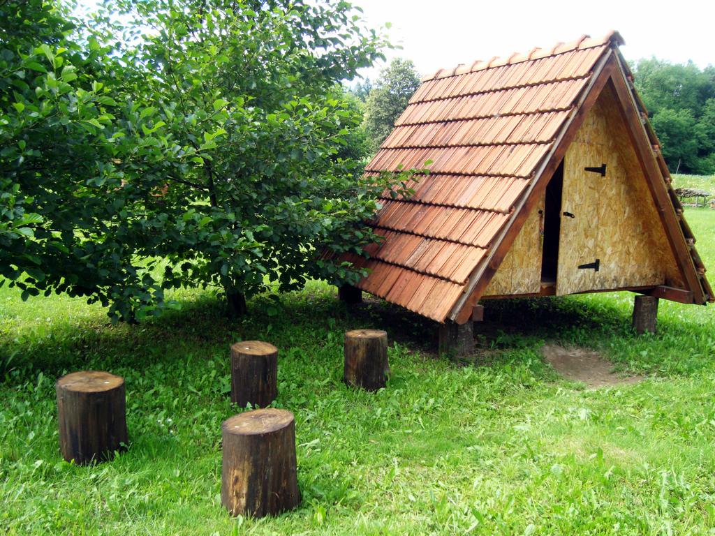 Campo Robinson "Leskar" - Mrežnica