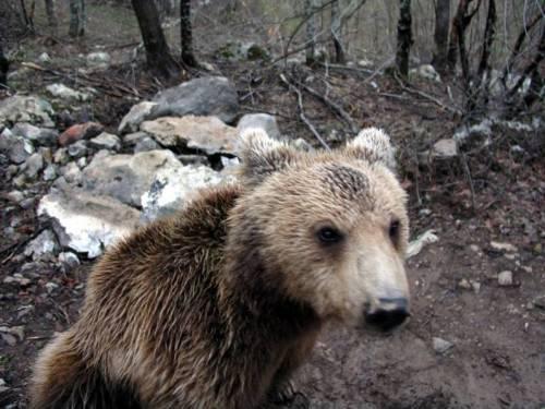 Parco Nazionale Velebit Settentrionale