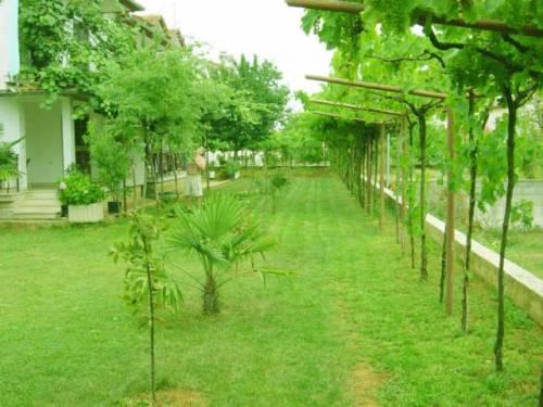 Apartmani Modrušan, Rovinj