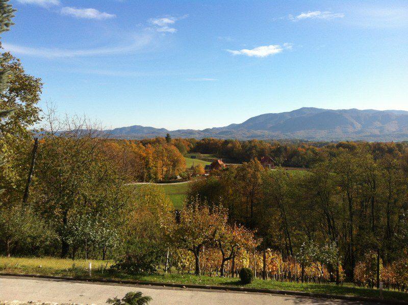 Vacation - cottage, tennis, Zagorje
