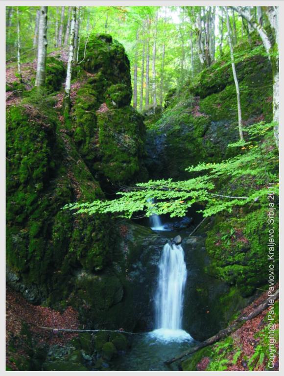 Rural tourism in the nature park Golija-Studenica