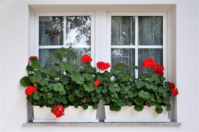 Apartman Eva Lepoglava