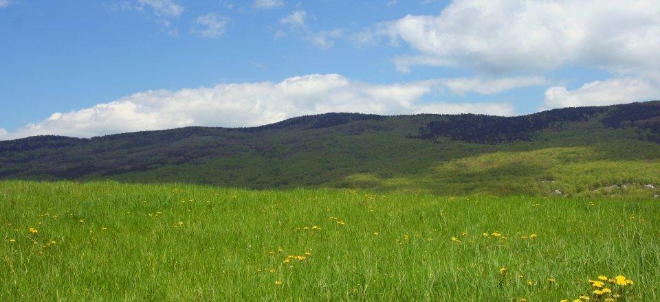 NP Velebit settentrionale