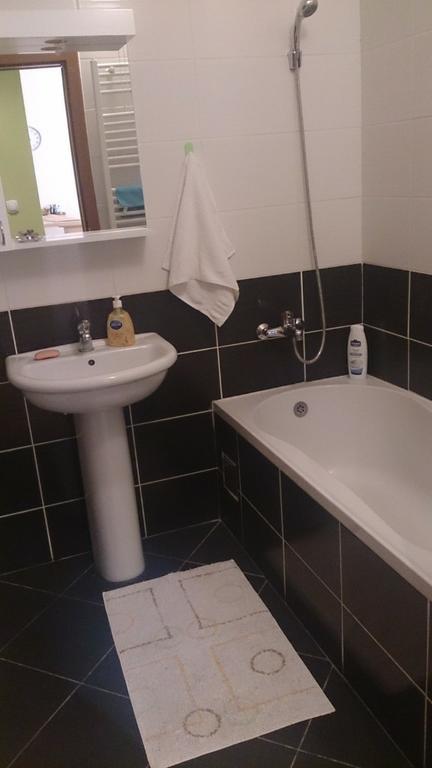 Apartments, private accommodation Novi Sad Center