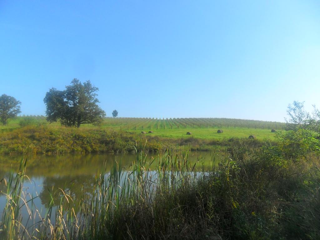 Excursion site Zeleni put