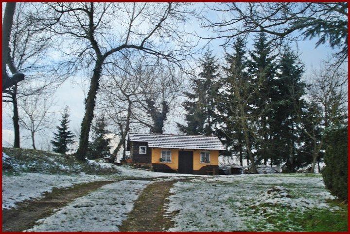 Dvor Barnagor