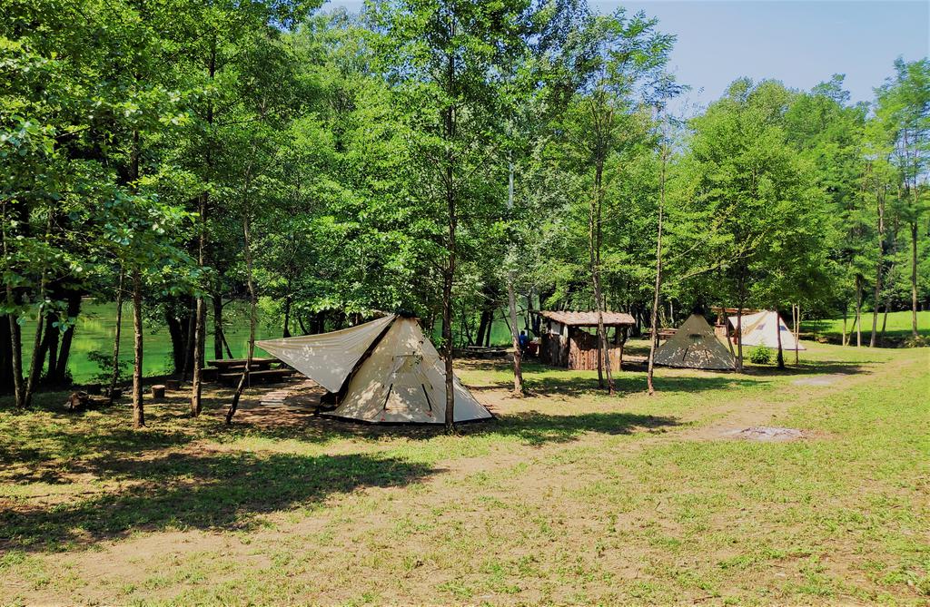 Robinson Camp Cup