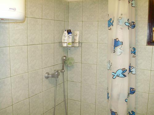 Apartment / House 2 +2