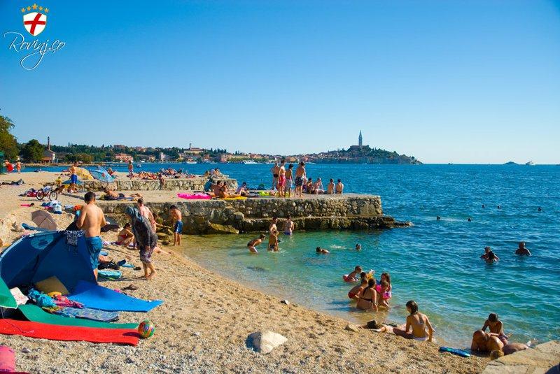 Apartman Dejvid