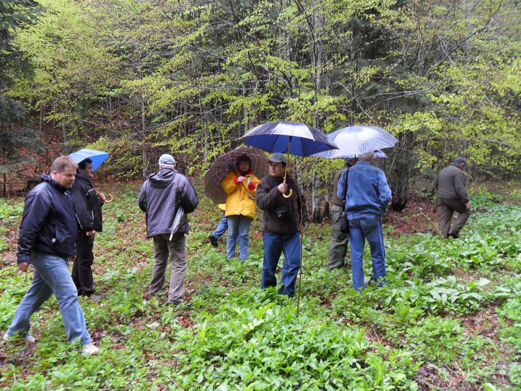 Dan medvjeđeg luka u općini Plitvička Jezera 07.05.2011