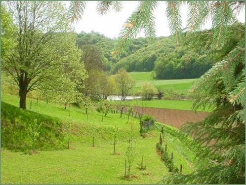 Ländlicher Tourismus Lujzijana - Koran