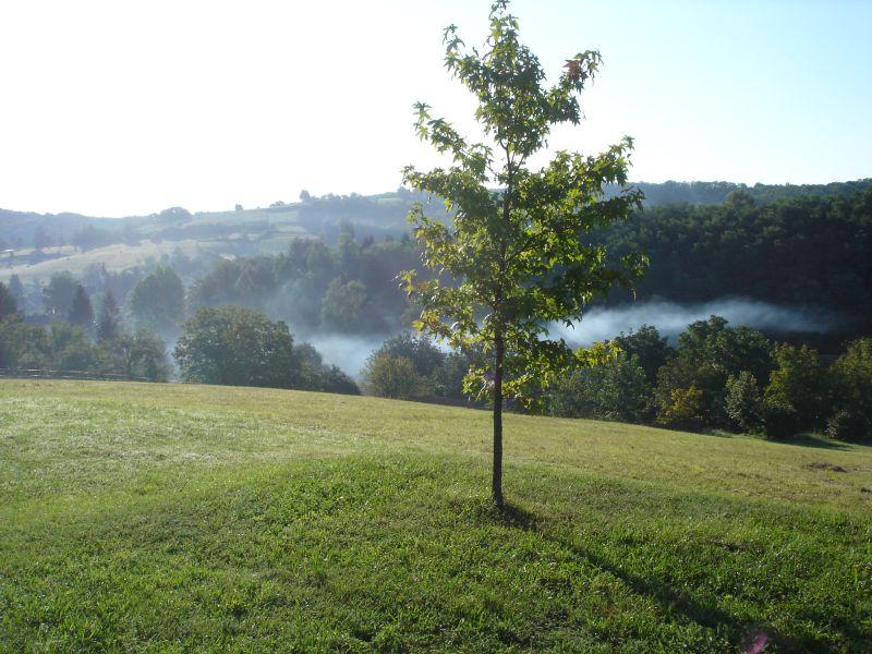 Sunny Village / Village Sunny