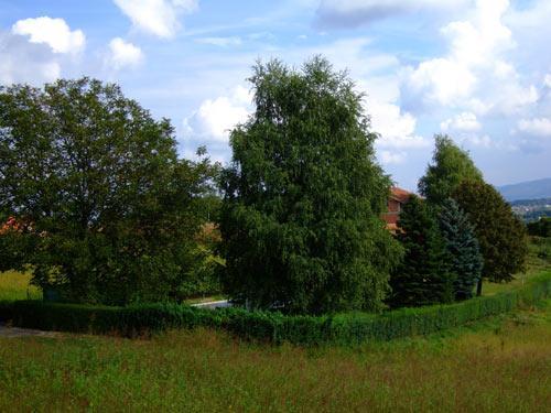 Sunčeko - Vacation