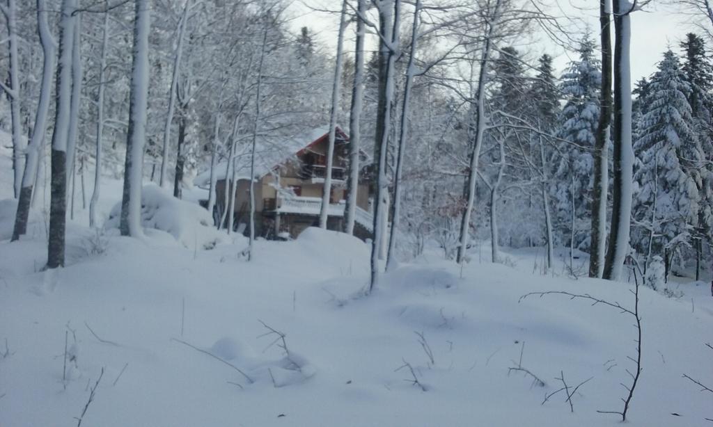 Šumska kuća