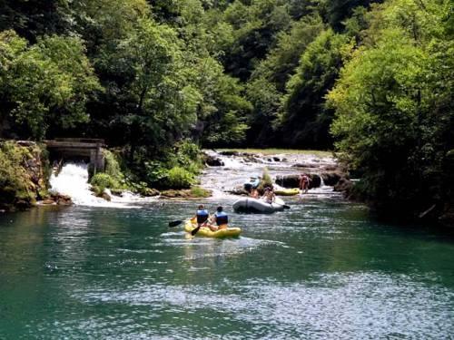 Canyon Park Federn Mrežnica