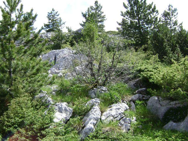 Park prirode Blidinje