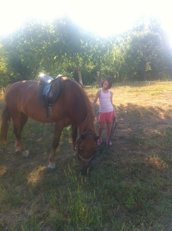 Ruralna kuća za odmor OPG Kandučar