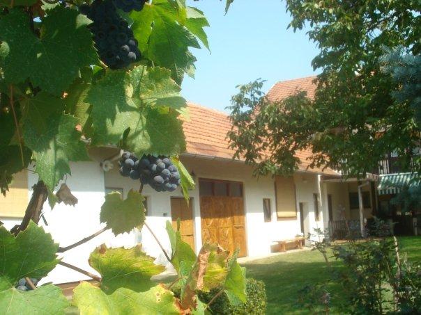 The ethnographic collection Slavko Čambi