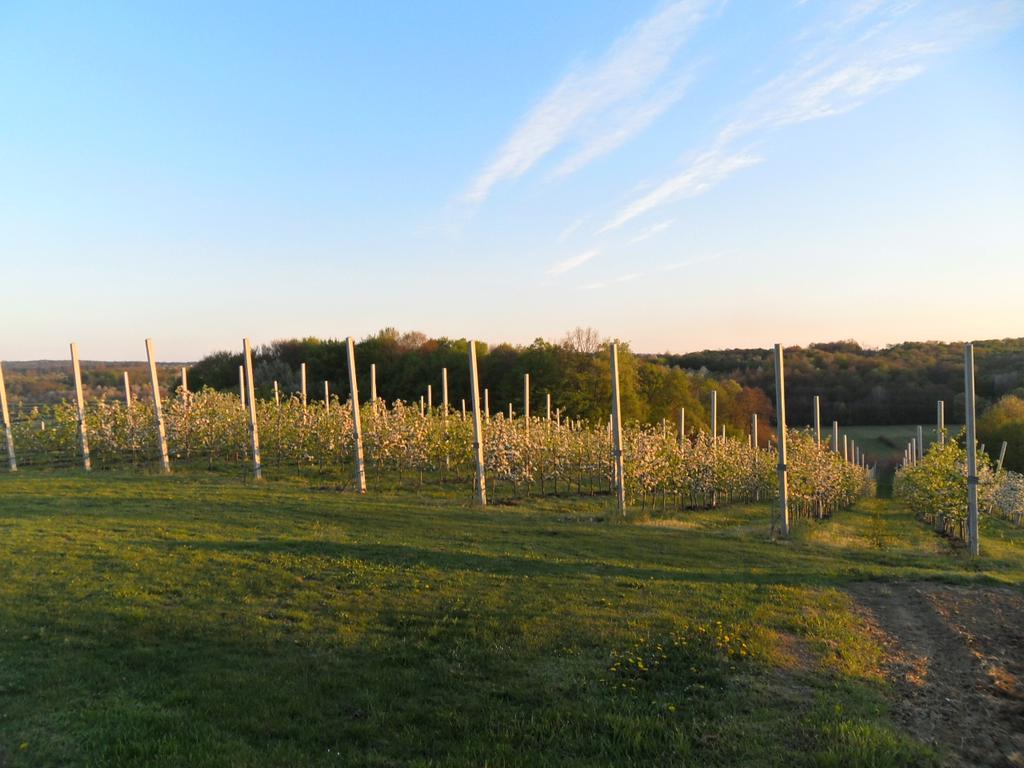 Excursion site Zeleni put