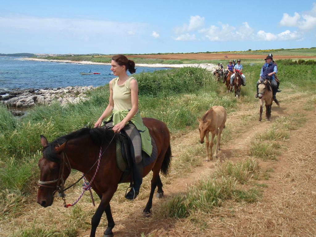 Ranch Istra Star