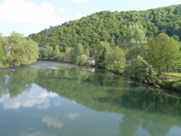 Apartment Mihelcic