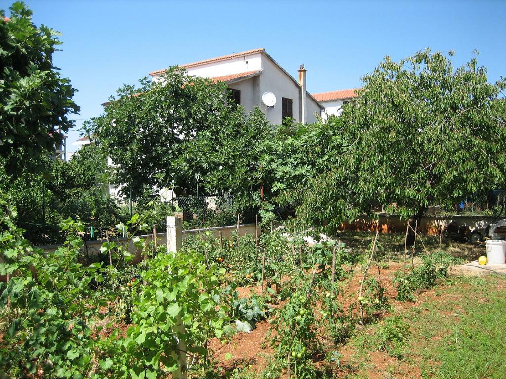 Quiet apartment for two near the beach and the center
