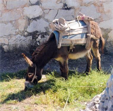 Baćulovi dvori