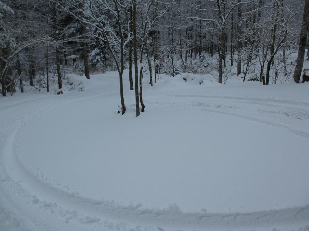 Šumska kuća