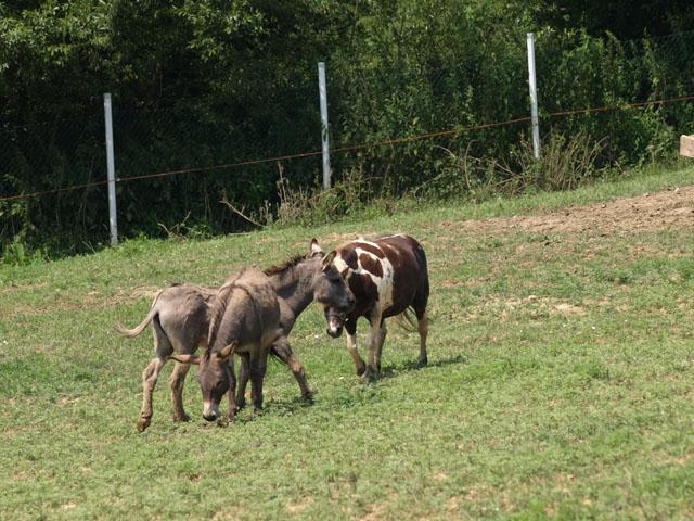 Golden Grove Village Überblick