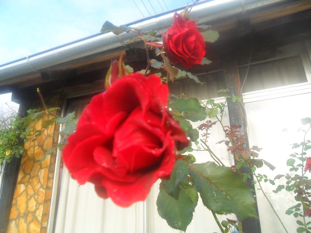 Excursion site Zeleni put