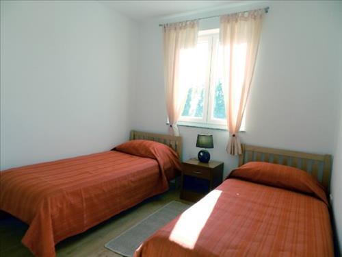 Apartman Dejvid