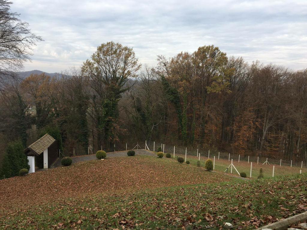 Villa Pačetina - House for vacation in nature