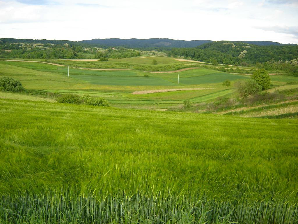 Holiday house in the heart of Moslavina