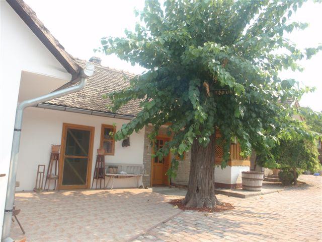 Casa per vacanze "pod dudom" Aljmaš