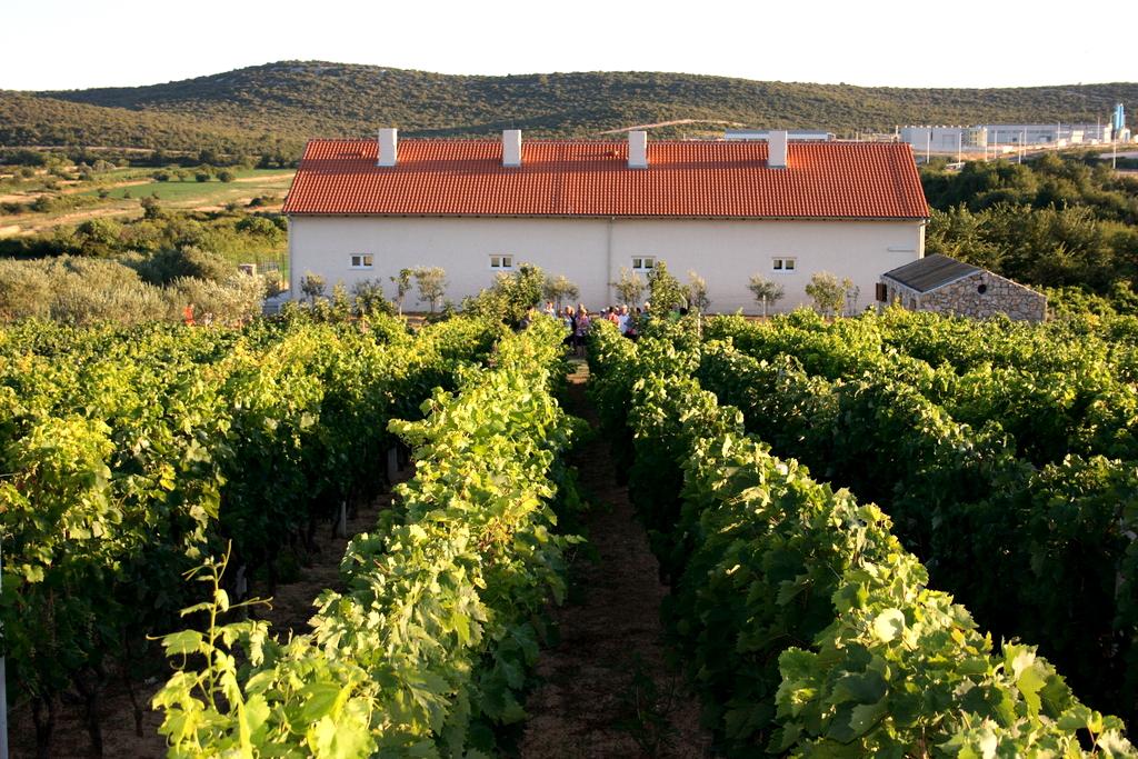 Roca, kuća dalmatinskog pršuta