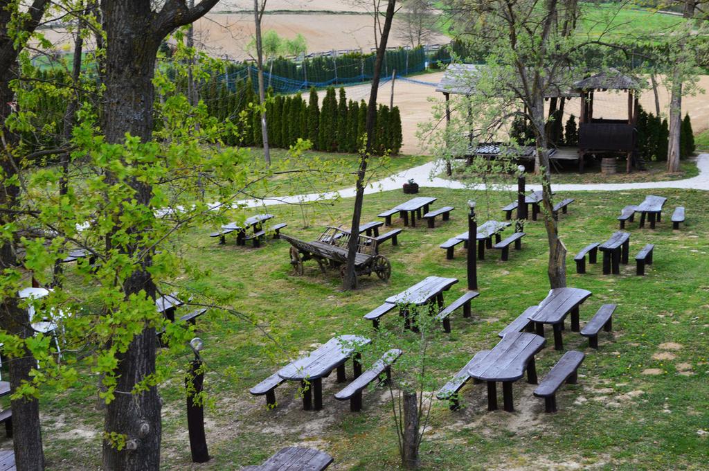 Famiglia picnic Novak