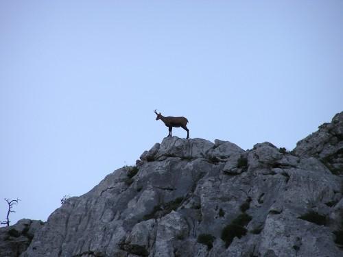Parco Nazionale Velebit Settentrionale