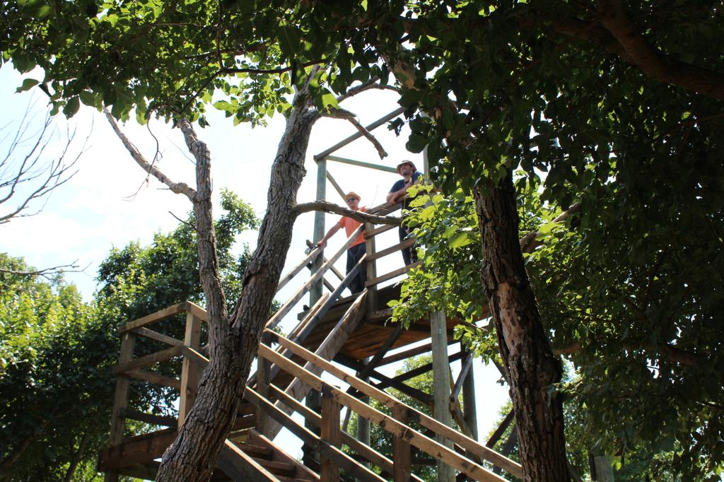 Green Adventure