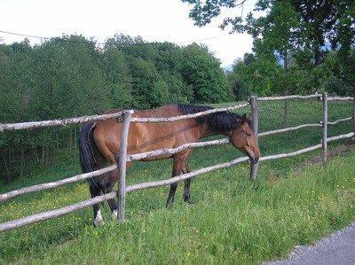 Vacation - cottage, tennis, Zagorje
