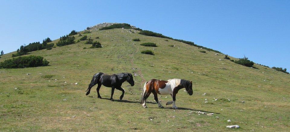 NP Velebit settentrionale